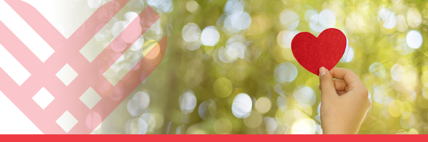 GivingTuesday Growth Opportunities
