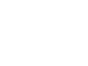 About - Douglas Shaw & Associates