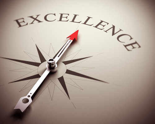 In Pursuit of Excellence