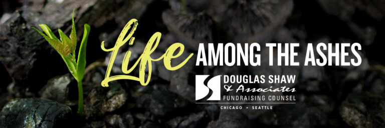 Life Among the Ashes