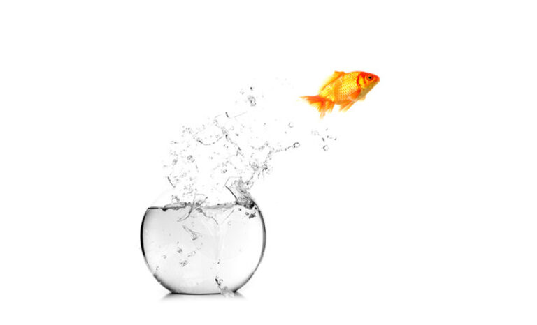 Just Because We Want a Strategy to Work Doesn’t Mean it Will